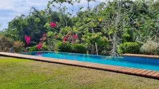 Pwerfecxt hideayay for Honey Mooner and Nature Lovers